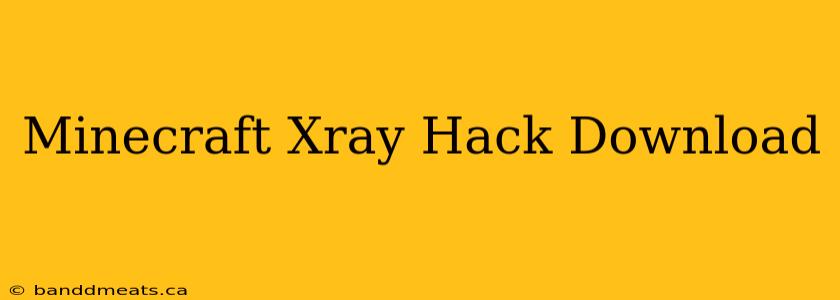 Minecraft Xray Hack Download