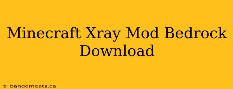 Minecraft Xray Mod Bedrock Download