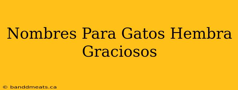 Nombres Para Gatos Hembra Graciosos