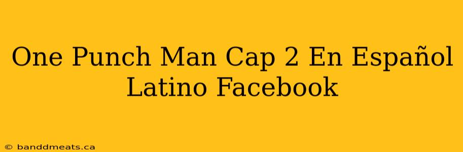 One Punch Man Cap 2 En Español Latino Facebook