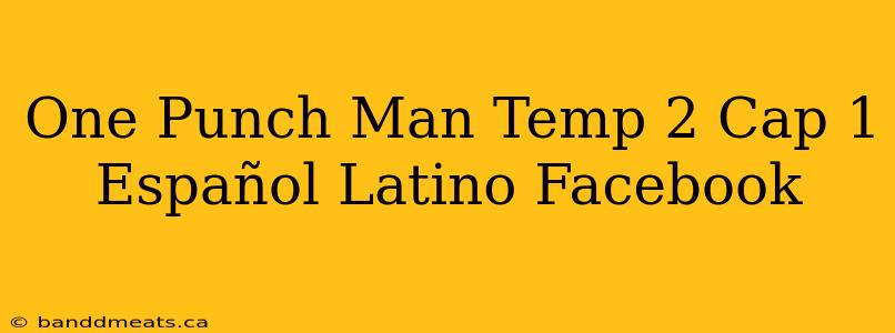 One Punch Man Temp 2 Cap 1 Español Latino Facebook