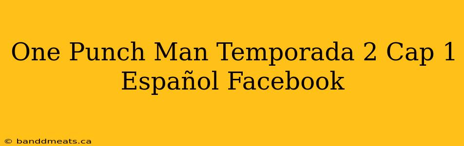 One Punch Man Temporada 2 Cap 1 Español Facebook