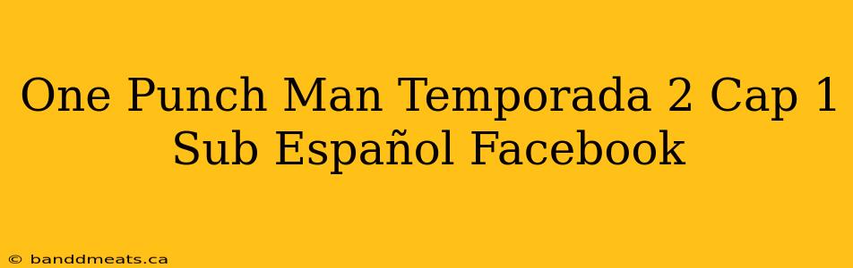 One Punch Man Temporada 2 Cap 1 Sub Español Facebook