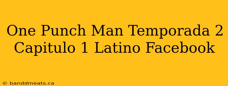 One Punch Man Temporada 2 Capitulo 1 Latino Facebook