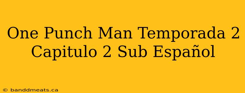 One Punch Man Temporada 2 Capitulo 2 Sub Español