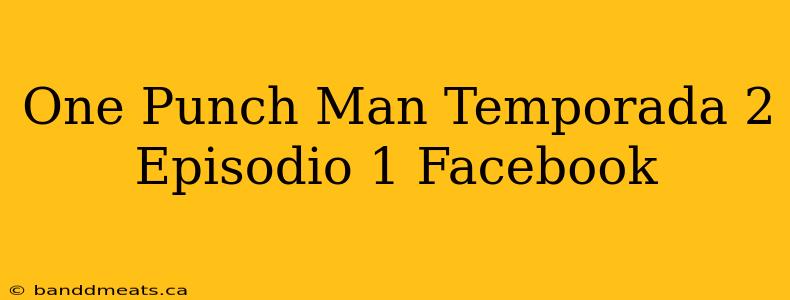 One Punch Man Temporada 2 Episodio 1 Facebook