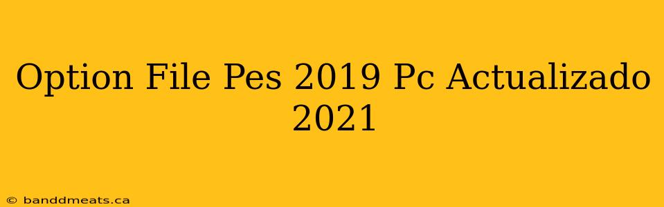 Option File Pes 2019 Pc Actualizado 2021