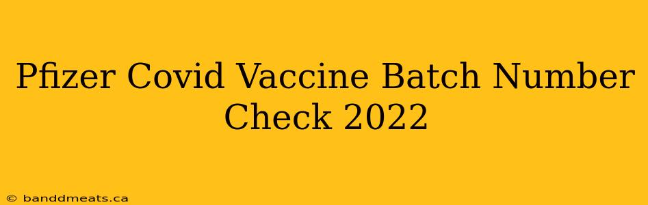 Pfizer Covid Vaccine Batch Number Check 2022