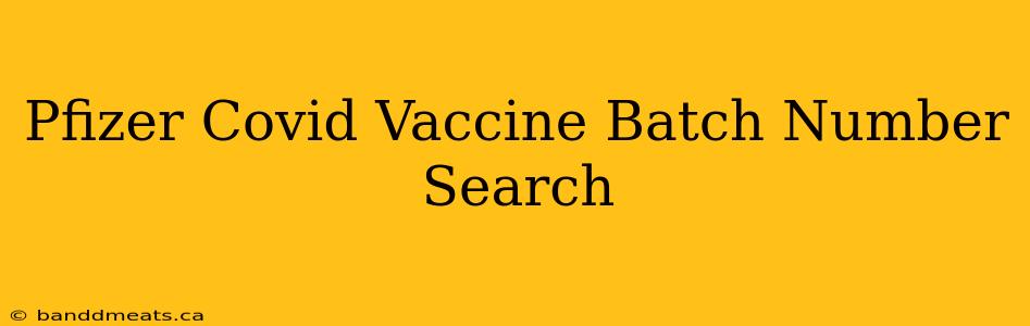 Pfizer Covid Vaccine Batch Number Search