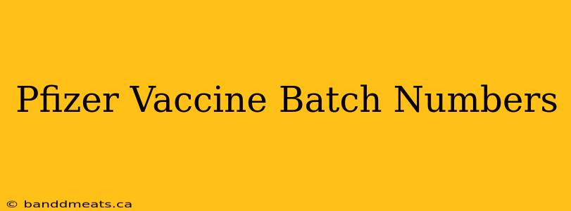 Pfizer Vaccine Batch Numbers