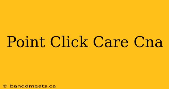 Point Click Care Cna