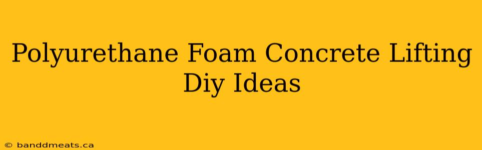 Polyurethane Foam Concrete Lifting Diy Ideas