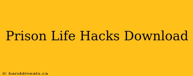 Prison Life Hacks Download