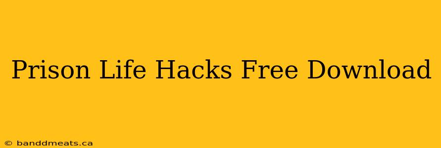 Prison Life Hacks Free Download