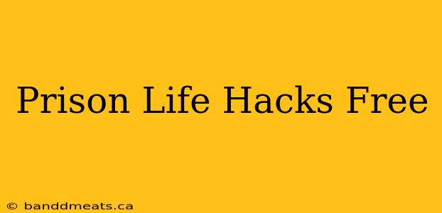 Prison Life Hacks Free