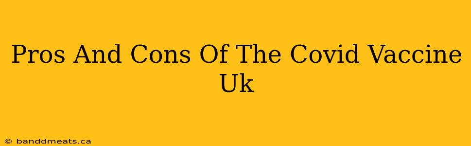 Pros And Cons Of The Covid Vaccine Uk