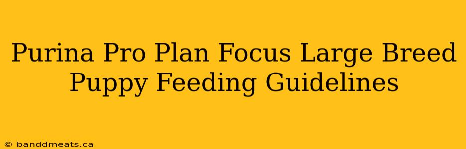 Purina Pro Plan Focus Large Breed Puppy Feeding Guidelines