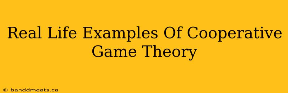 Real Life Examples Of Cooperative Game Theory