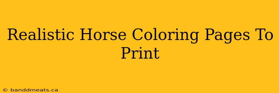 Realistic Horse Coloring Pages To Print