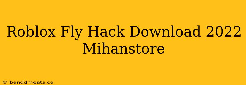 Roblox Fly Hack Download 2022 Mihanstore