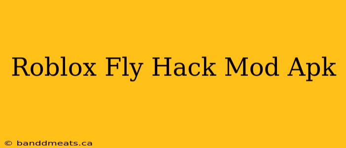 Roblox Fly Hack Mod Apk