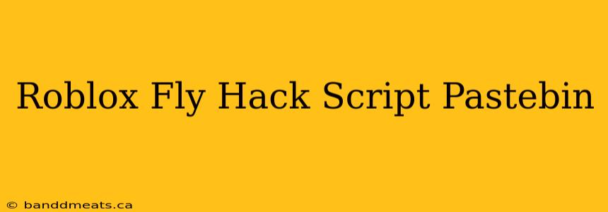 Roblox Fly Hack Script Pastebin