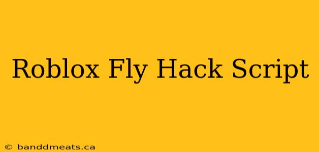 Roblox Fly Hack Script