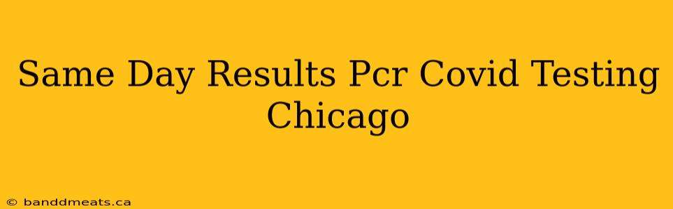 Same Day Results Pcr Covid Testing Chicago