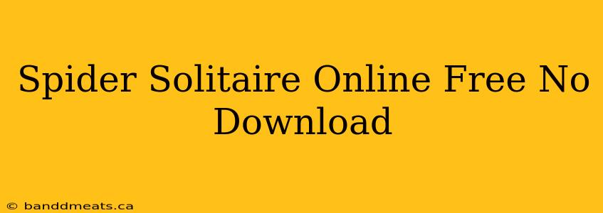 Spider Solitaire Online Free No Download