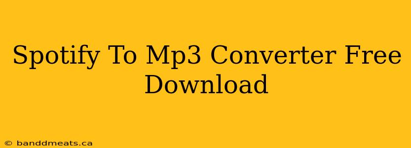 Spotify To Mp3 Converter Free Download