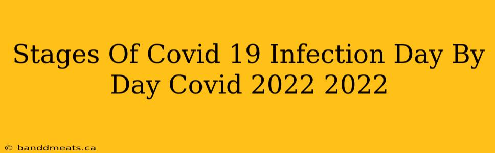 Stages Of Covid 19 Infection Day By Day Covid 2022 2022