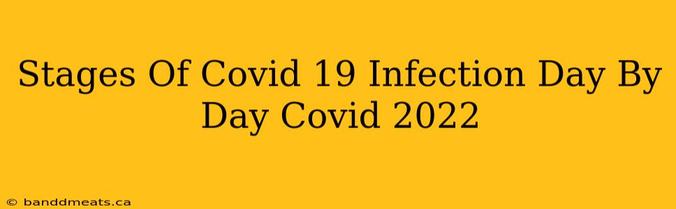 Stages Of Covid 19 Infection Day By Day Covid 2022