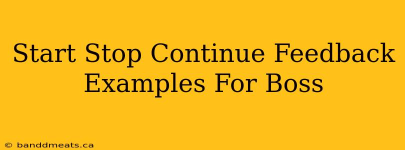 Start Stop Continue Feedback Examples For Boss