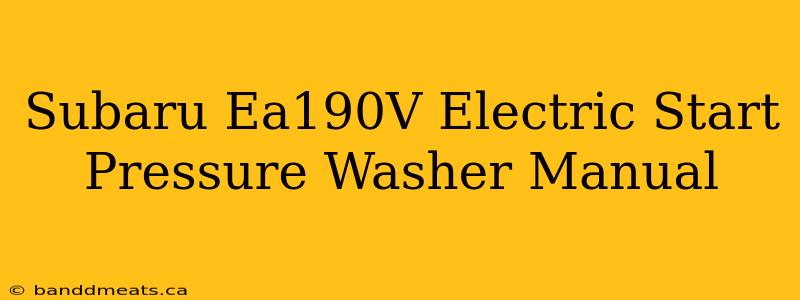 Subaru Ea190V Electric Start Pressure Washer Manual