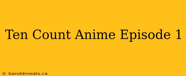 Ten Count Anime Episode 1