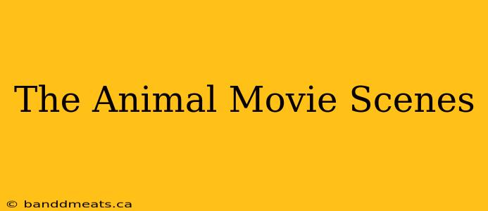 The Animal Movie Scenes