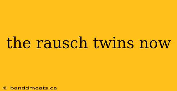 the rausch twins now