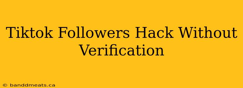 Tiktok Followers Hack Without Verification