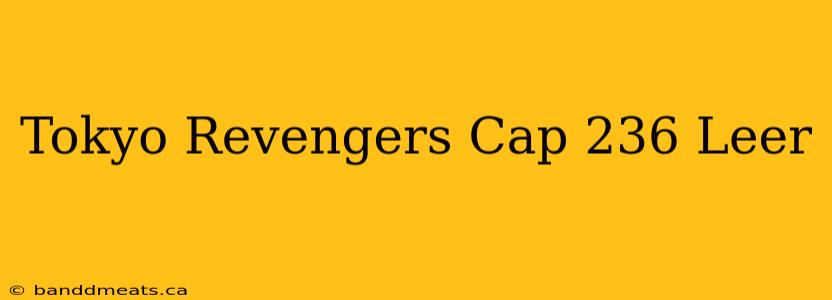 Tokyo Revengers Cap 236 Leer