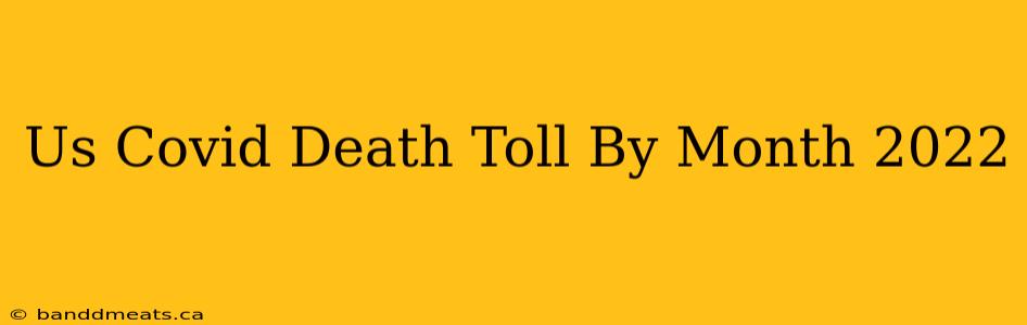 Us Covid Death Toll By Month 2022