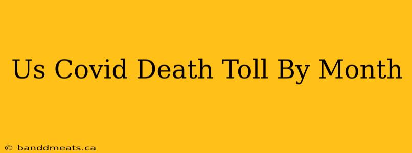 Us Covid Death Toll By Month