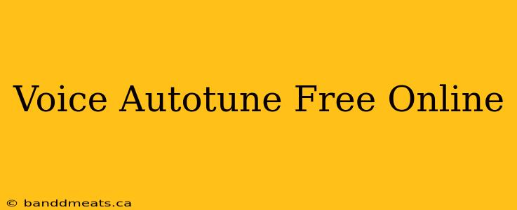 Voice Autotune Free Online