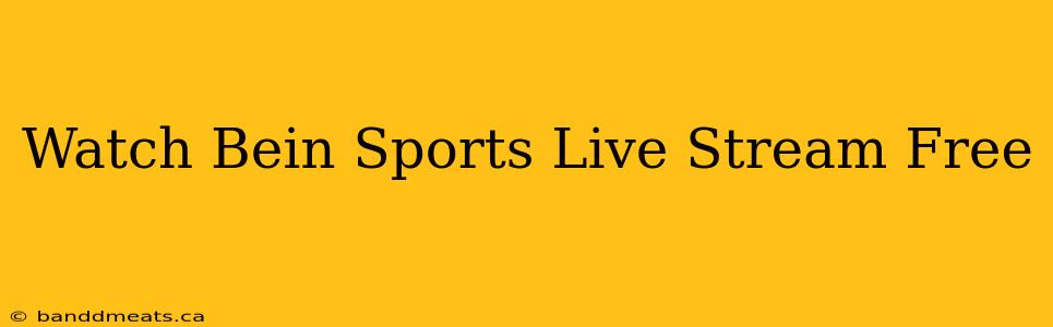 Watch Bein Sports Live Stream Free⠀