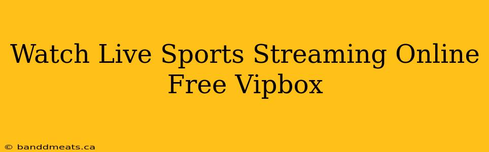 Watch Live Sports Streaming Online Free Vipbox