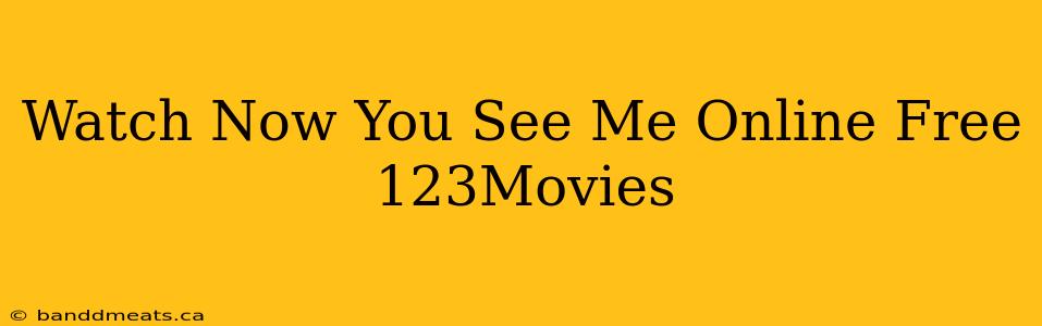 Watch Now You See Me Online Free 123Movies