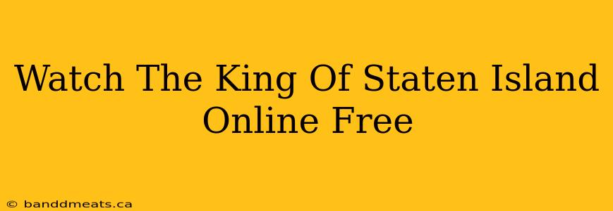 Watch The King Of Staten Island Online Free