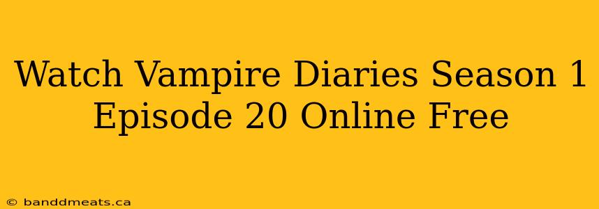 Watch Vampire Diaries Season 1 Episode 20 Online Free