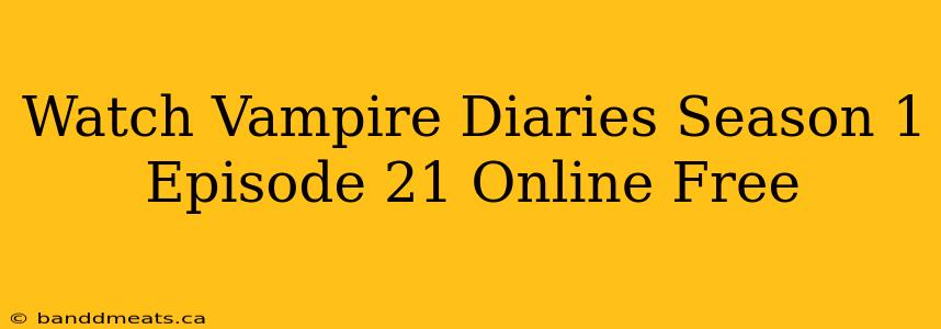 Watch Vampire Diaries Season 1 Episode 21 Online Free