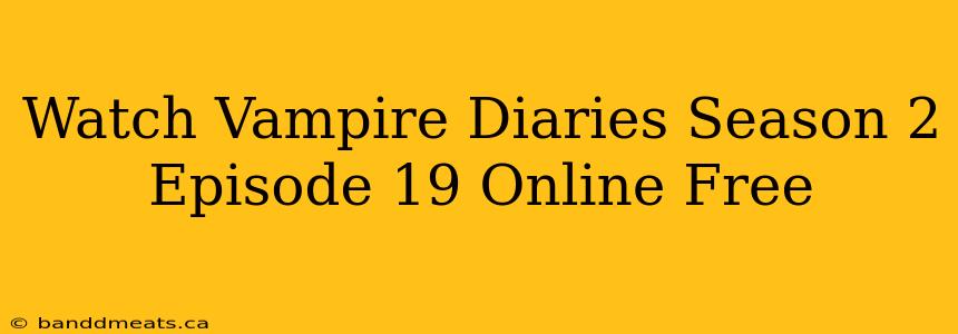 Watch Vampire Diaries Season 2 Episode 19 Online Free