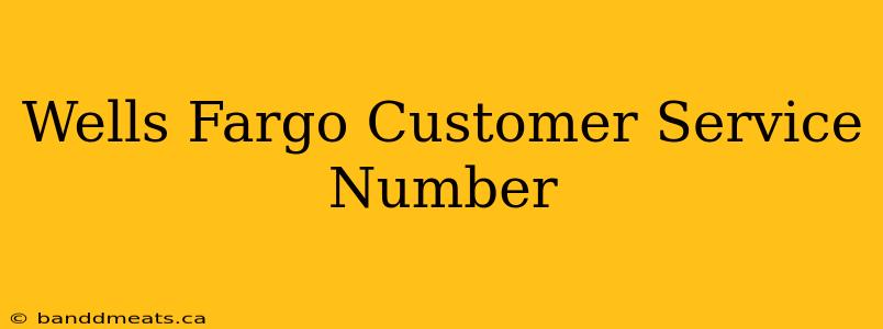 Wells Fargo Customer Service Number